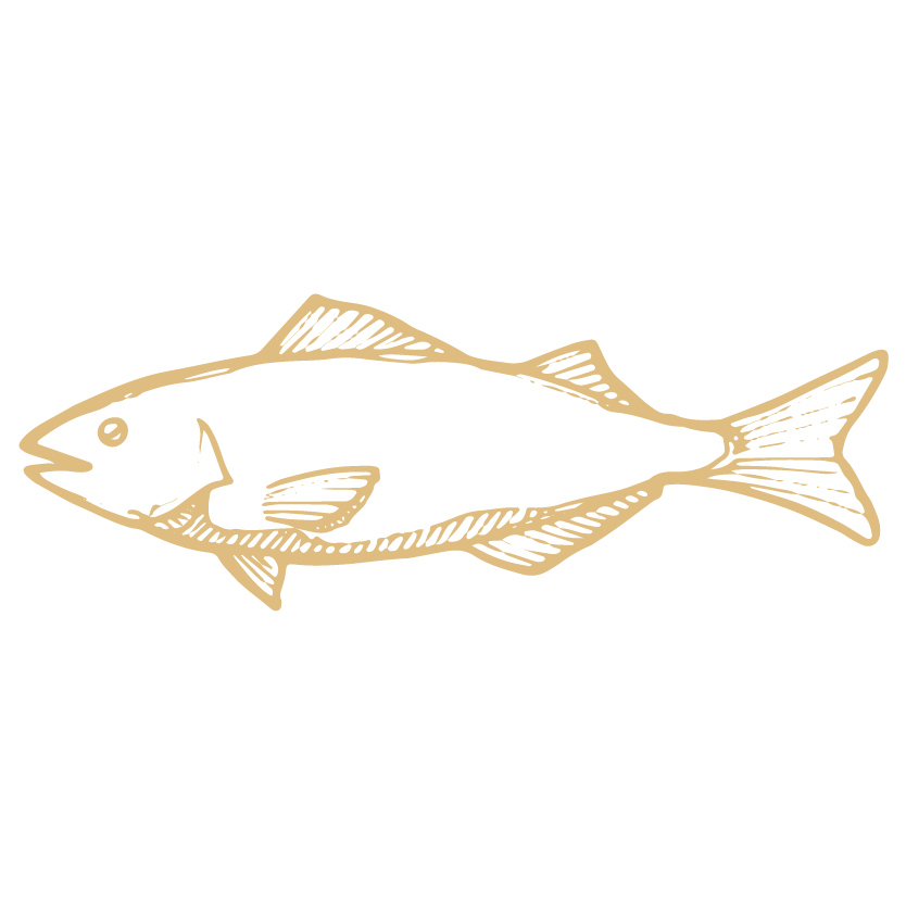 Fresh fish